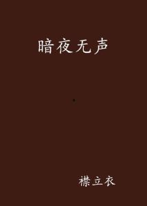 暗夜无声,探寻寂静之夜的秘密与奥秘