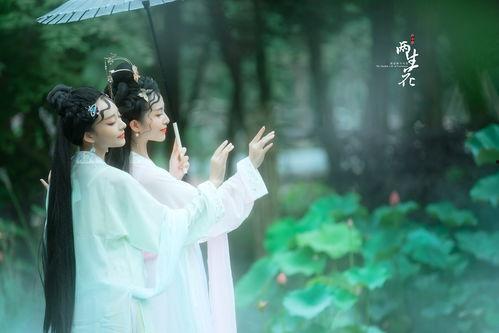 双生花,命运交织的奇幻之旅