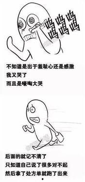 我和我的丁丁,我与丁丁的奇妙旅程