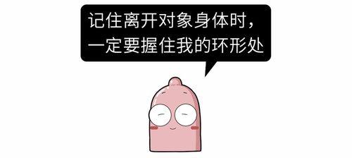 我和我的丁丁,我与丁丁的奇妙旅程