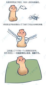 我和我的丁丁,我与丁丁的奇妙旅程