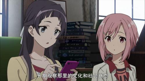 樱花任务,探寻春天的浪漫与挑战