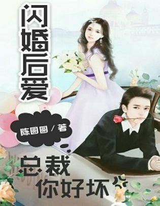 闪婚后陆总又争又抢,陆总的爱恨纠葛