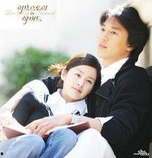 爱在哈佛,跨越时空的青春恋曲