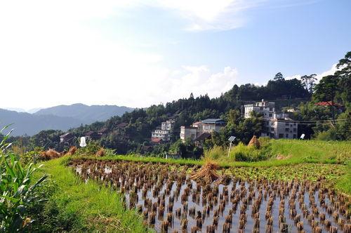 田园风光,诗意栖息的世外桃源