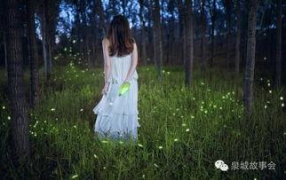 萤火虫女神,点亮夜空，守护自然和谐