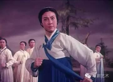 亦叶亦花,探寻自然界的和谐之美